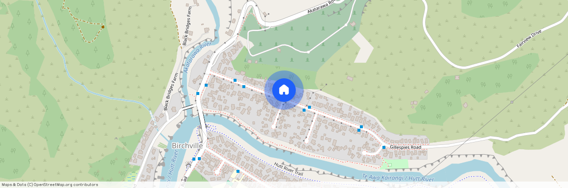 37 Gillespies Road, Birchville