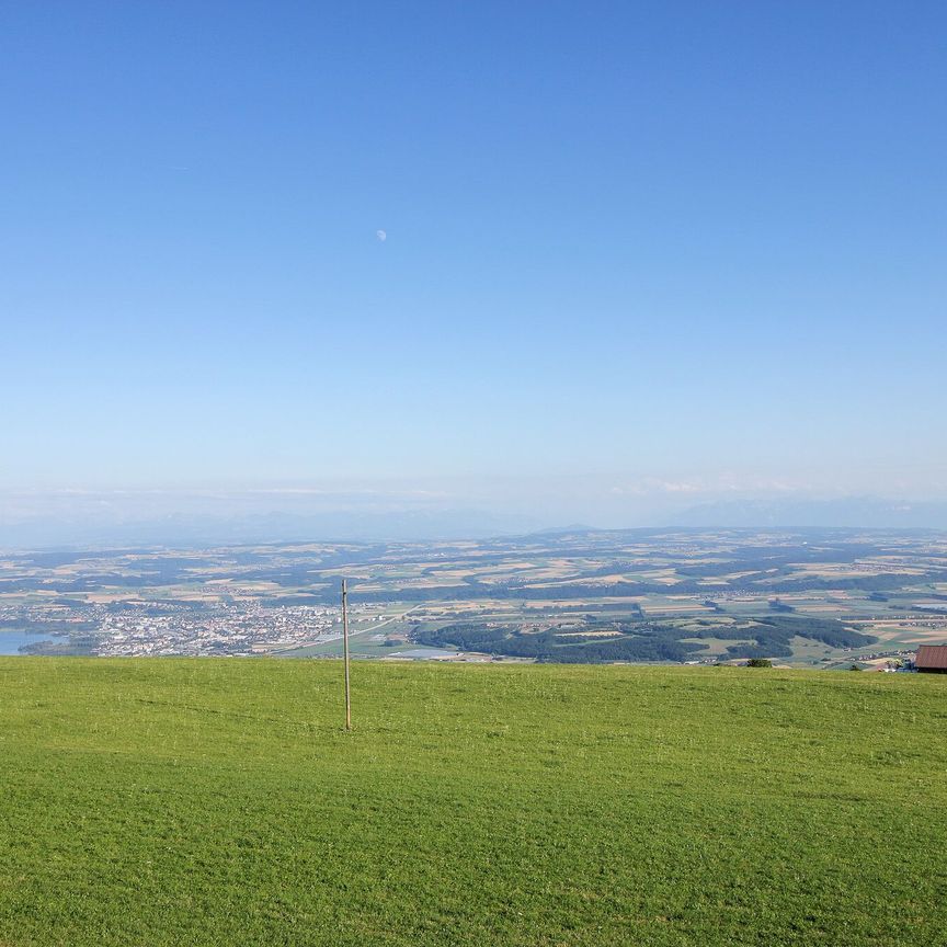 Appartement de 3 pces avec belle vue sur les Alpes - Photo 1
