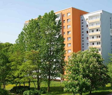 1-Raum-Wohnung mit Einbauküche und Balkon - Photo 5