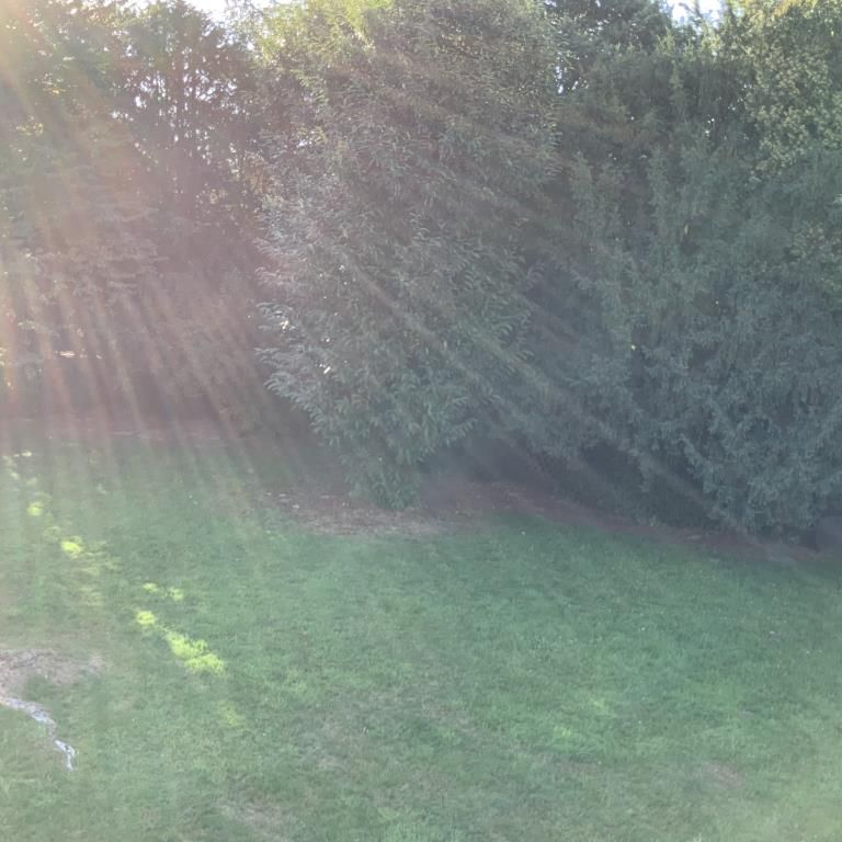 Charmante 3-Zimmer-Etagenwohnung in Recklinghausen  77,86 m² mit Badfenster und Laminatboden - Photo 1