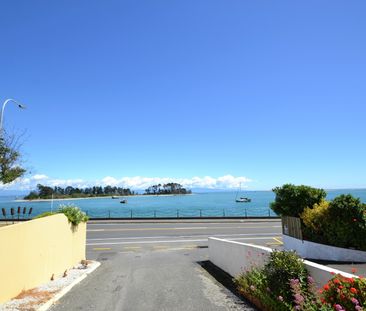 2/411a Wakefield Quay (ground floor), Stepneyville, Nelson - Photo 5