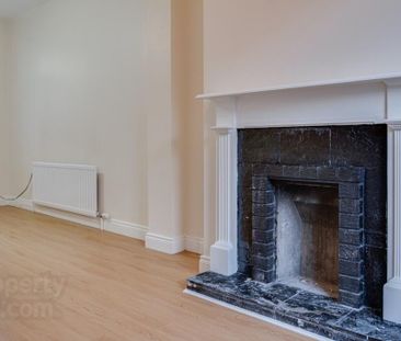 60 Rockview Street, Belfast, BT12 6JR, Belfast - Photo 3