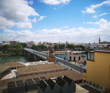 Calle San Jorge, Sevilla, Andalusia 41010 - Photo 2