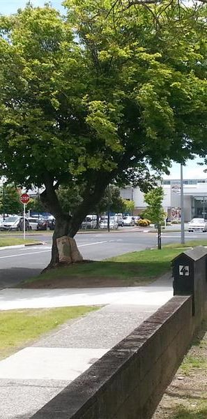 Central Flat - Victoria - Photo 1