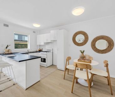 3/33 Cavill Street, Freshwater NSW 2096 - Apartment For Rent | Domain - Photo 1