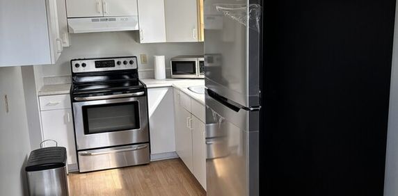 4 ½ à Louer/for Rent - Mont‑Bleu (Hull) - Photo 2