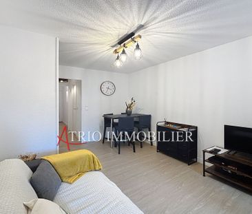 Location Appartement 1 pièce 24m² VILLENEUVE LOUBET 06270 - Photo 3
