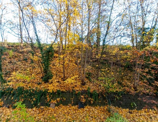 Leipziger Vorstadt - 2-Zimmer-Wohnung mit Tageslichtbad in beliebter Lage - Foto 1