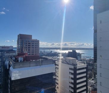 Amazing Views - Photo 5