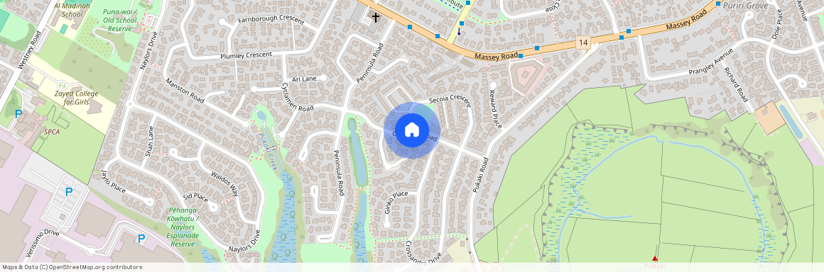 16 Cyclamen Road, Mangere, Manukau City