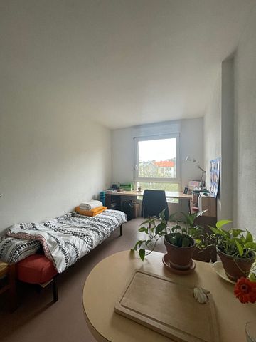 Location Studio en résidence étudiante University Meissonier, Fac de Science, IUT du Limousin, STAPS – Limoges - Photo 4