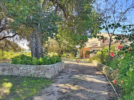 4 room luxury House for rent in Llucmajor, Spain - Photo 3