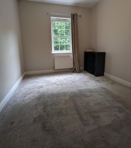 16 Millrace Mews, Moneymore, BT45 7WG - Photo 2