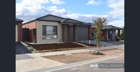 Incredible House for Growing Family - Photo 3