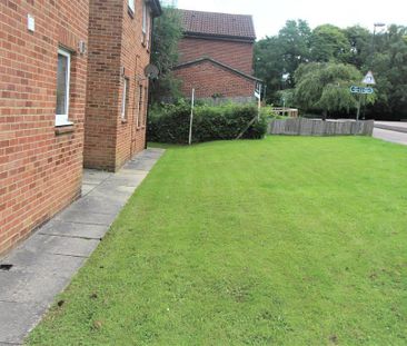 Studio to rent - Photo 6