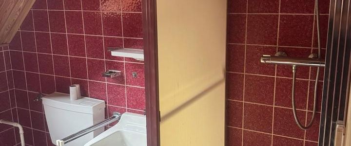 1 Zimmer Singlewohnung Optional + 2 Zimmer im EG - Foto 1