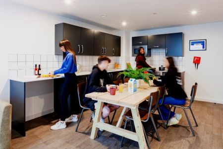 true Accessible Apartment-floor LG - Photo 3