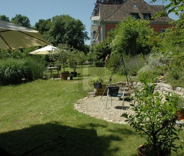UNIKAT! MIT SPEKTAKULÄRER RHEINFALL-SICHT! - Foto 4