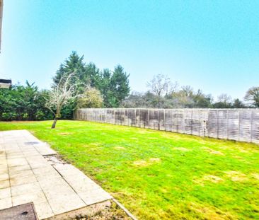 3 bedroom detached house to rent - Photo 3