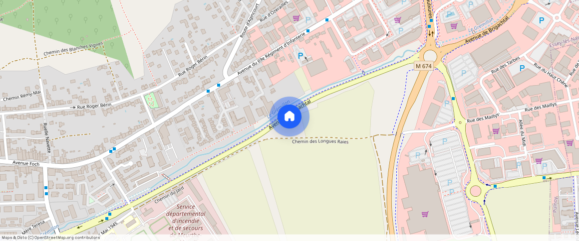 ESSEY LES NANCY (54270)