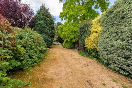 4 bedroom semi-detached house to rent - Photo 5