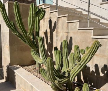 30 Carrer Batle Bujosa, Santa Ponça, Balearic Islands 07180 - Photo 1