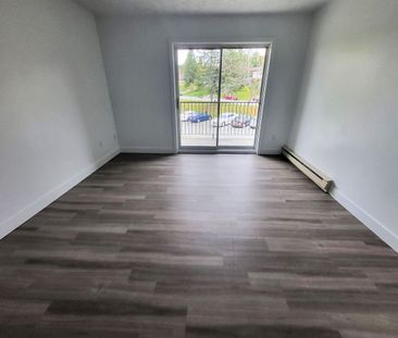 Appartement 4 ½ rénové à louer – Sherbrooke, Secteur Université & M... - Photo 4