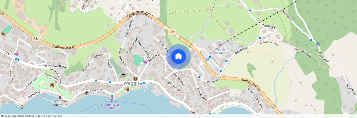 Blauweidweg 5b, 6353 Weggis