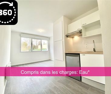Location Appartement 1 pièce 19m² AUZEVILLE TOLOSANE 31320 - Photo 5