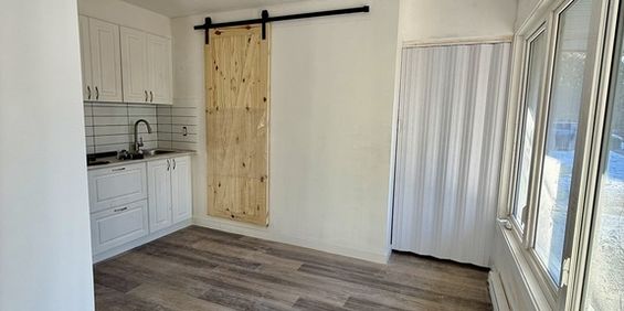 Grande 3 ½ Appartement à Louer / Large 3 - Photo 3