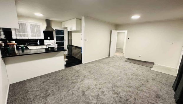 NEWLY RENOVATED 2-BEDROOM APT. FOR RENT - Photo 1