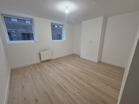 Appartement T1 Lille à louer - Photo 3