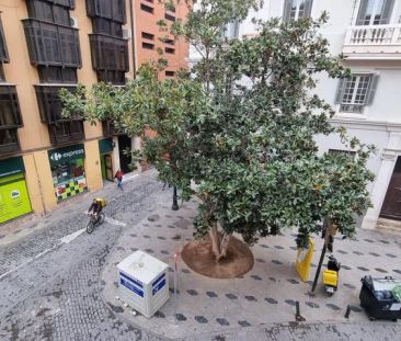 Alquiler de piso en Plaza del teatro - Foto 6