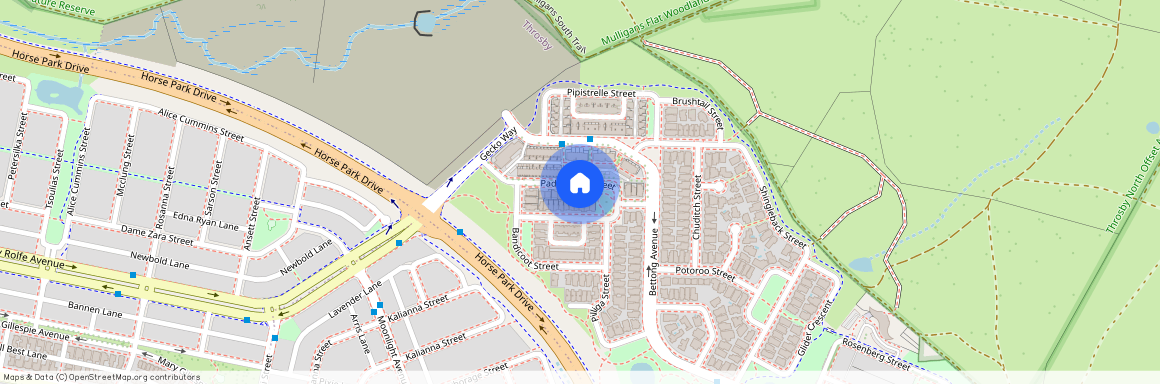 28 Pademelon Street, Throsby ACT 2914