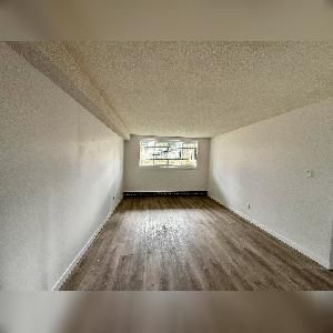 2 Bed 1 Bath Apartment Belvedere Edmonton - Photo 3