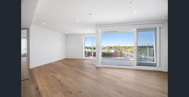 Find home: where light-filled living meets inner-west convenience - Photo 1