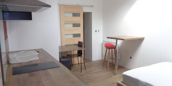 Location Appartement 1 pièce 19m² - Photo 3