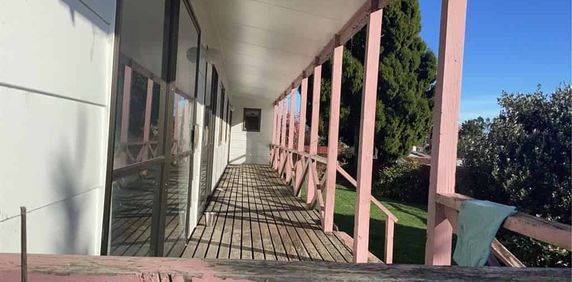 Three Bedroom Home in Kihikihi - Photo 2