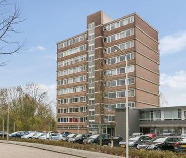 Saffierstraat 1812 RM Alphen aan den Rijn - foto 5