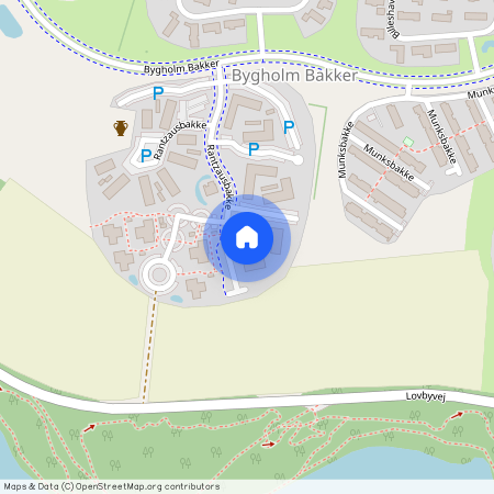 Rantzausbakke 95, 1. 3, 8700, Horsens