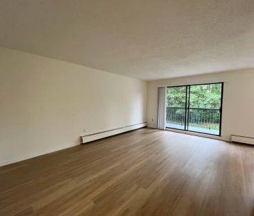 Guildford Gardens — 2 Bedroom - Photo 4
