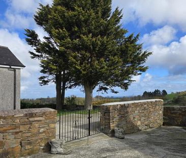 177 Strangford Road, Strangford, Downpatrick, BT30 7JP - Photo 5