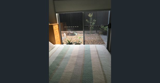 Delightful fully self contained near new unit. 500 metre walk to Dicky Beach - Photo 1