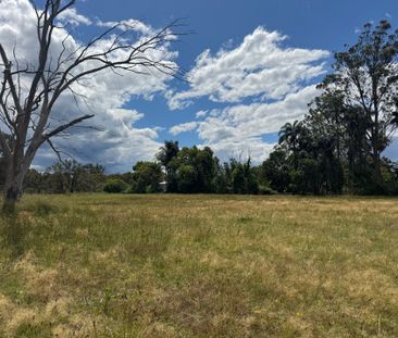 Spacious 4 Acres of Fenced Land - Ideal for Animals & Vehicle Parking - Photo 4