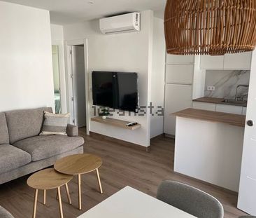 Alquiler de casa o chalet independiente en Urbanización Lago Jardín, 2 - Photo 5