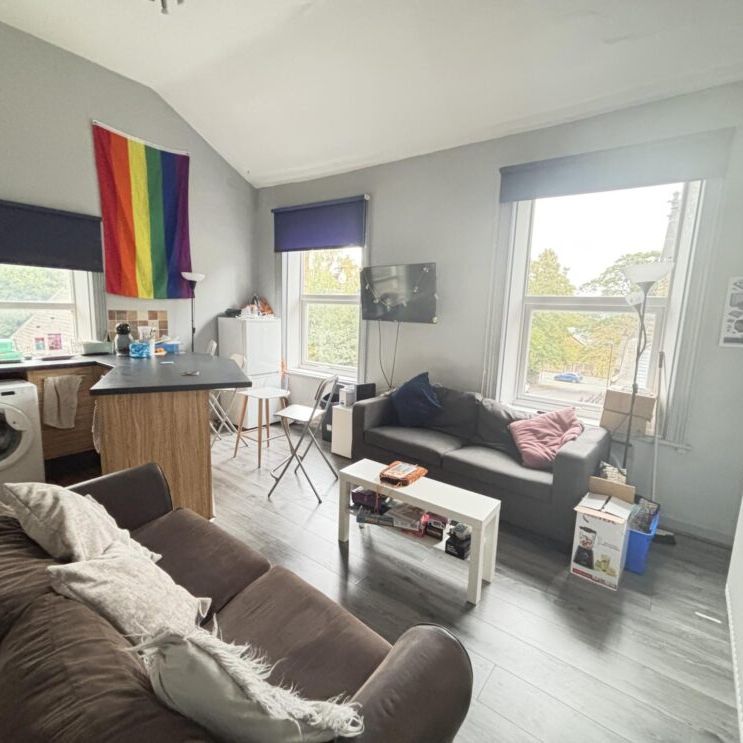 2 Flat 1 Ashwood Villas, Leeds, LS6 2EJ - Photo 1