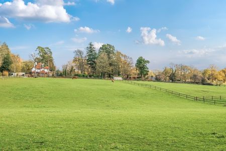 2 bedroom bungalow to rent - Photo 5