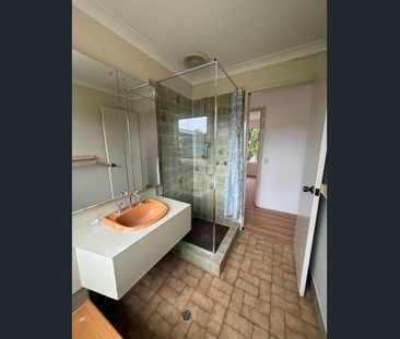 Large backyard with a shed - Photo 4