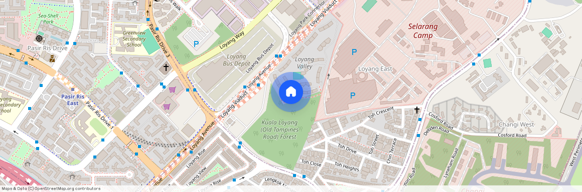 208 Loyang Avenue (509062), Singapore