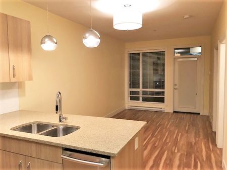 THE RADIUS - 309 - Rad309 - Photo 2